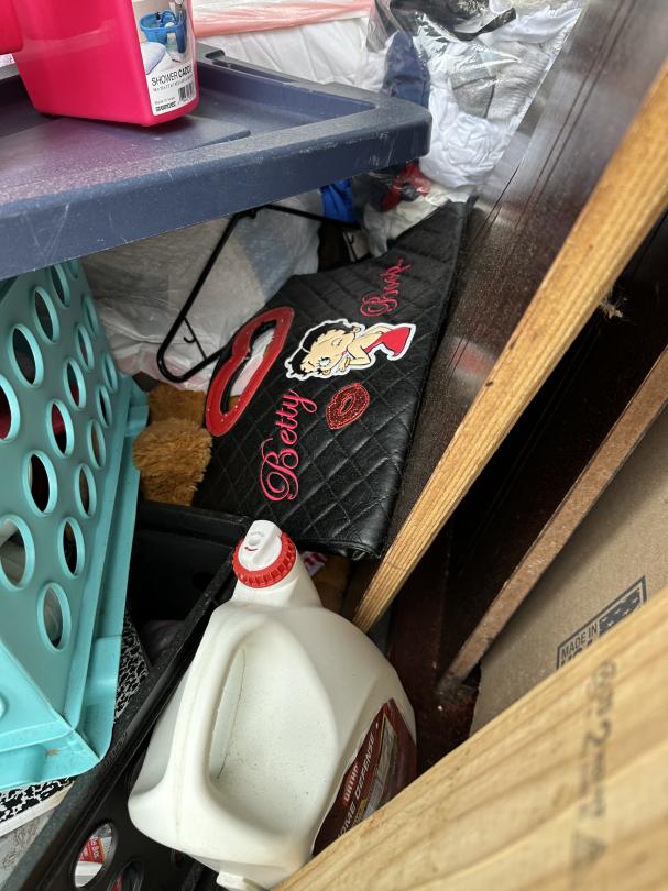 Storage Unit Auction in Swansea, IL at A Storage InnSwansea ends on